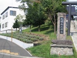 ラベンダー