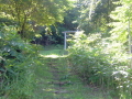 Qo