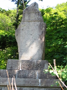 IN
