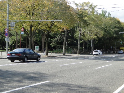 円山公園外周