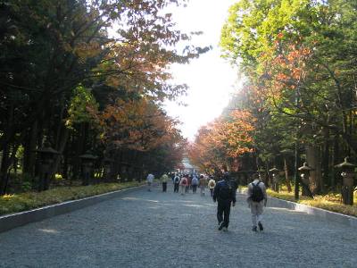 北海道神宮参道