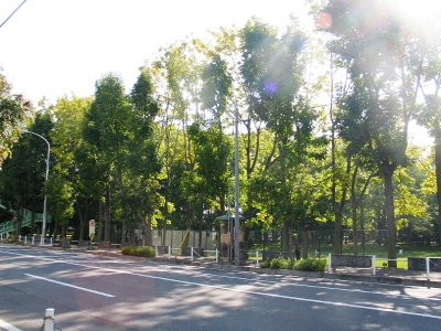 ひのまる公園