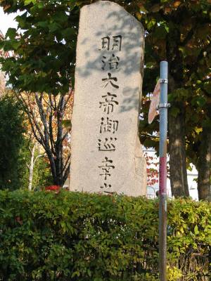 邲KV