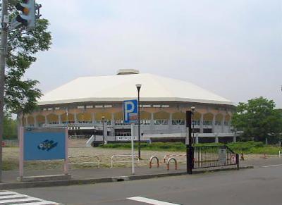 アイスアリーナー
