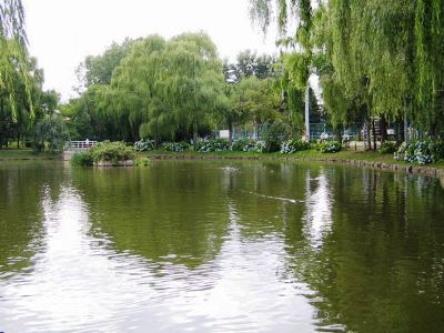 月寒公園ボート池