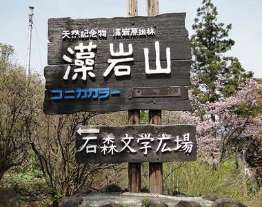 ΐXwL