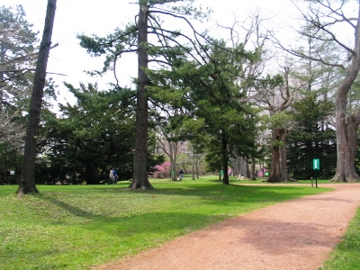 植物園園内ローン